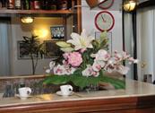 Hotel Mediterranea - Loano