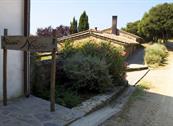 Agriturismo I Nocini - Tatti