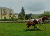 Borgo del Carato Country Resort Spa - Palazzolo Acreide