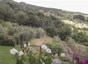 Agriturismo La Coccinella - Cortona