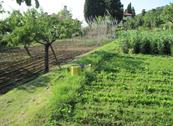 Casa Cares - Reggello