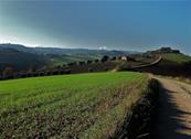 La Rosa Scarlatta - Monterubbiano
