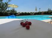 Agriturismo Poggio al Sole - Cortona