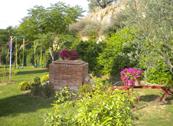 Agriturismo I Mille Ulivi - Montefalco