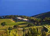 Tenuta delle Ripalte - Capoliveri