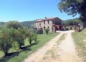 Agriturismo La Coccinella - Cortona