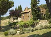 Agriturismo I Nocini - Tatti