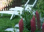Hotel B&B Funivia - Courmayeur