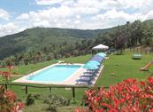 Agriturismo La Coccinella - Cortona