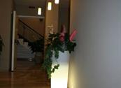 Hotel Lalla - Cesenatico