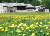 B&B Campaciòl - Livigno