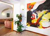 Adler Hotel Wellness & Spa - Andalo