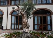 SANTO STEFANO SPA RELAIS**** - Sandigliano