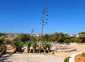 Cala Madonna Club - Lampedusa
