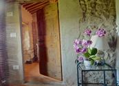 Agriturismo I Pitti - Serravalle Pistoiese