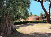 Camping Village Parco degli ulivi - Peschici