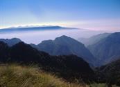 Green Holiday - Appartamenti per Vacanza - Ledro