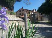 Casa Vacanze Podere Ugolini - Borgo San Lorenzo