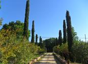 Casale Santa Caterina - Amelia