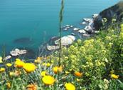 B&B Timeout - Polverigi