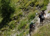 Hotel St. Michael - Livigno