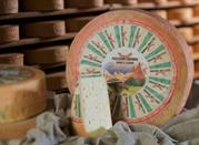 Il Puzzone, formaggio tipico della Val di fassa in Trentino