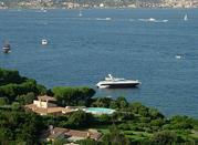 Mare