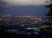 View form Superga