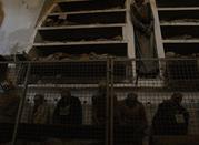 Catacumbas de los Capuchinos