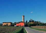 Vigneti