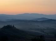 Collise Senesi