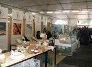 Cheese Festival