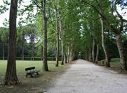 Il Parco delle Terme