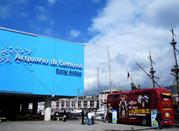 Acquario, Porto Antico