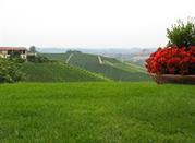 Vista di vitigni dal Castello di Grinzane Cavour 