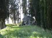 Tanella di pitagora