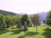 die Natur