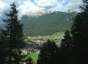 Moena tra gli alberi