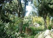 Giardini La mortella