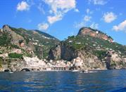 mare