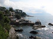  Nervi