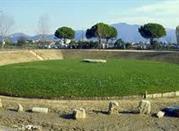 The mound
