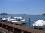 Laguna