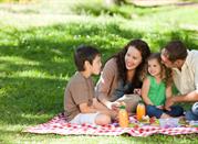 Picnic