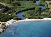 Mare