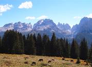 Panorama delle Dolomiti