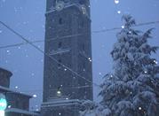 Torre Ligariana