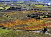 Vigneti