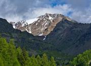 Il magnifico Parco dello Stelvio di Bormio