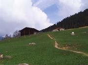 Una delle incantevoli baite a Campo Tures, Malga Kofler